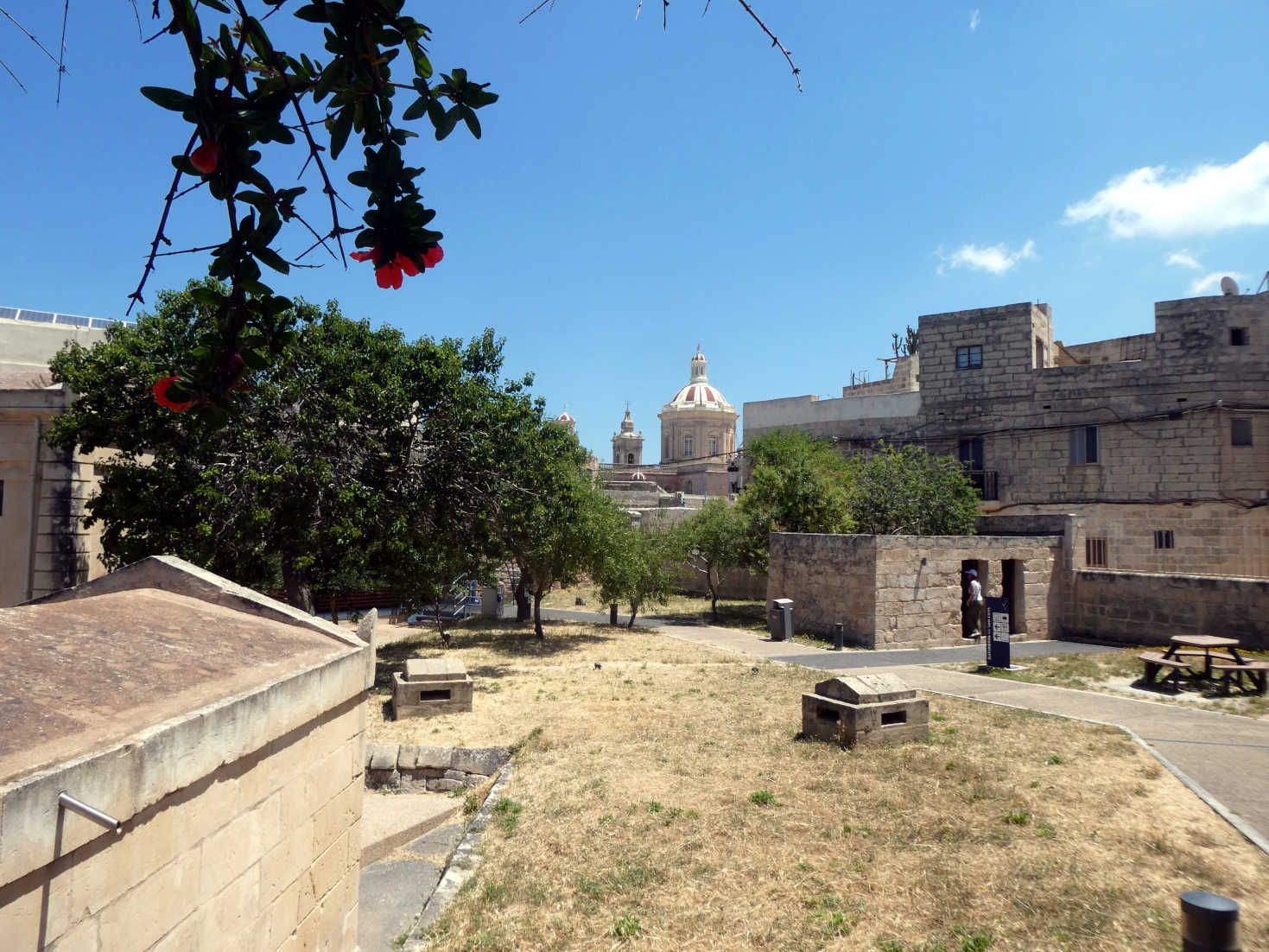 senglea