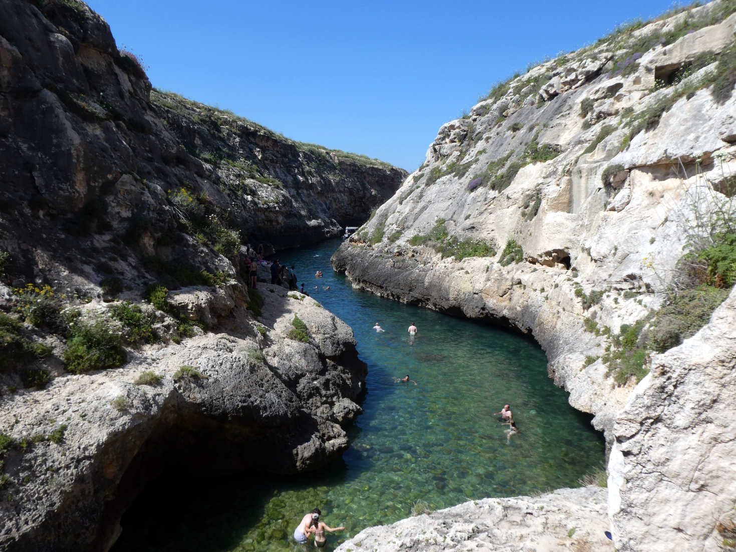 swimming fijord