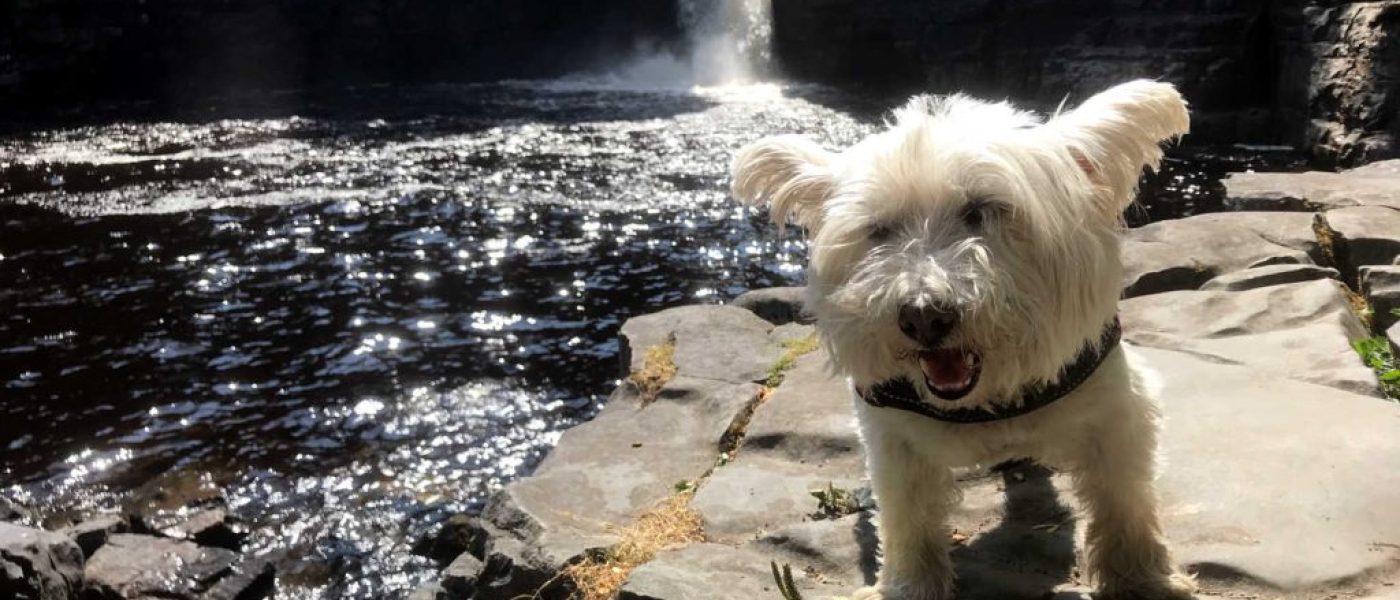 High Force Robbery