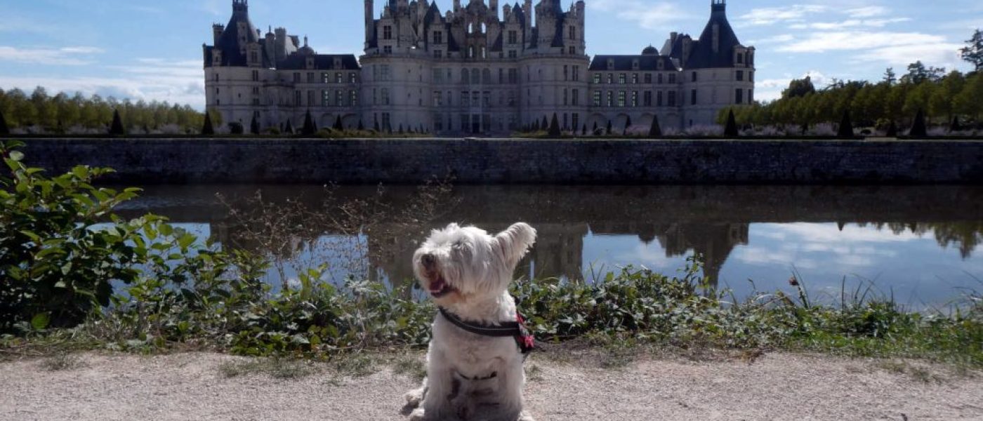 Nasty Vets and Big Houses
